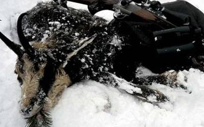 Rifles en el paraíso de la alta montaña