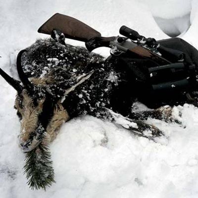 Rifles en el paraíso de la alta montaña