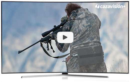 cazavision_inicio_smart-tv