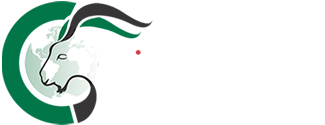 cazavision_cingetica-2022-inicio-logoOK